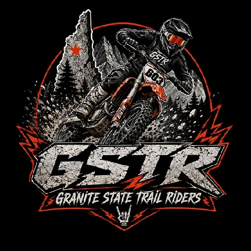 GSTR-500.jpg